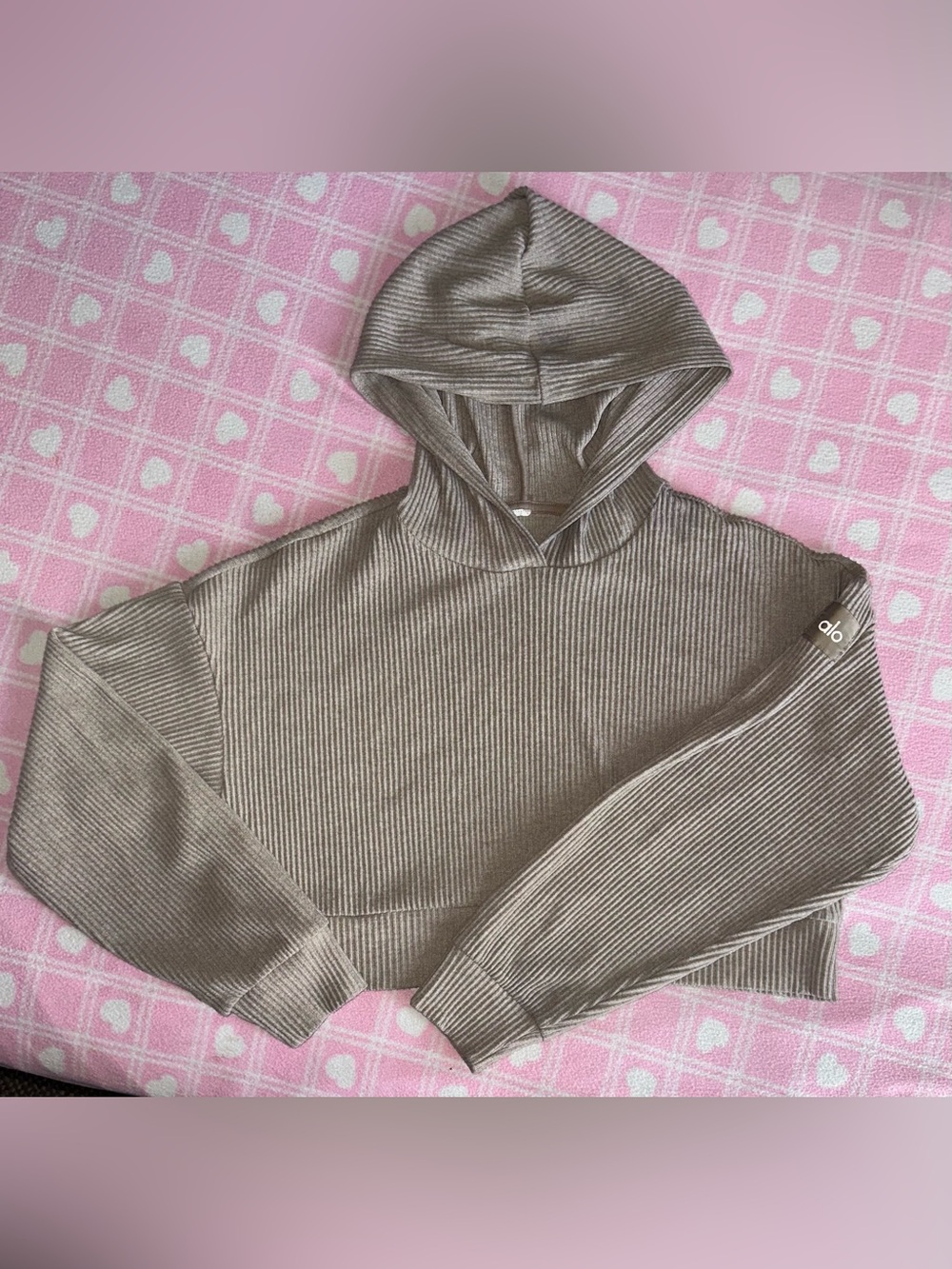 ALO Yoga Ribbed Hooded Crop in Taupe Brown